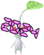 2024年眼鏡 白皮克敏