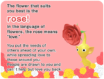 The rose result, from the Pikmin Bloom Flower Personality Quiz.