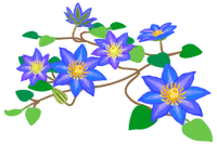 Blue clematis flowers icon.png