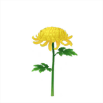 Yellow mum Big Flower icon.
