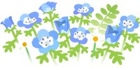 Blue nemophila flowers icon.png