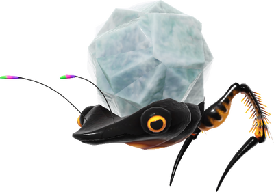 Carte Skutterchuck