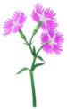 Red dianthus Big Flower icon in Pikmin Bloom.