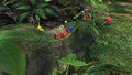 Tropical Forest P3 E3 2012 screenshot.png