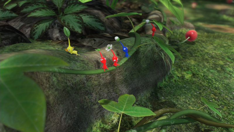 File:Tropical Forest P3 E3 2012 screenshot.png