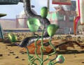 Hocotate Plant.png