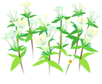 White gentian flowers icon.png