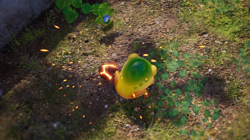 File:Yellow Wollyhop P4 Bomb Rock.jpg