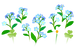 Texture for blue forget-me-not flowers on the map in Pikmin Bloom.