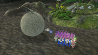 Page 1 of the eleventh unique hint in the Garden of Hope in Pikmin 3 Deluxe.