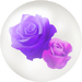 Blue anniversary rose nectar from Pikmin Bloom.