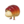 Icon for the Breadbug, from Pikmin 4's Piklopedia.
