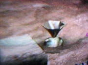 #1 Ionium Jet - Pikipedia, the Pikmin wiki