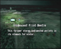 Reel13 Iridescent Flint Beetle.png