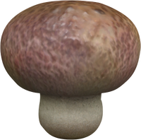 Spotcap-like mushroom.png