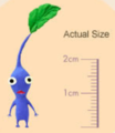 The height of a Blue Pikmin, as seen in Pikmin 2's manual.