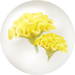 Yellow celosia nectar from Pikmin Bloom.