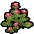 The Piklopedia icon of the Figwort in the Nintendo Switch version of Pikmin 2.
