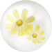 Yellow cosmos nectar from Pikmin Bloom.