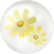 Yellow cosmos nectar from Pikmin Bloom.