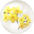 Thumbnail for version as of 02:39, May 1, 2026