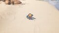 The treasure being carried by a pair of Blue Pikmin.