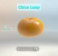 Citrus Lump P3 analysis.png