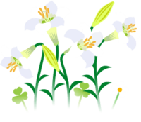White lily flowers icon.png