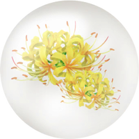 Yellow spider lily nectar icon.png