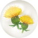 Yellow thistle nectar from Pikmin Bloom.