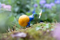 Pikmin 3 Artwork 14.jpg