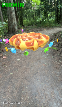 Pikmin Finder Cushion Cake.png