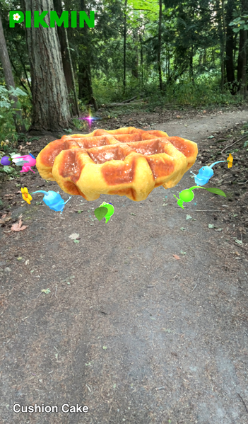 File:Pikmin Finder Cushion Cake.png