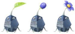 The three stages of a Rock Pikmin.