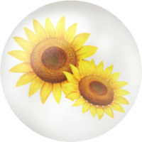 Yellow sunflower nectar icon.png