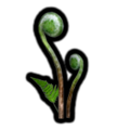 The Piklopedia icon of the Fiddlehead in the Nintendo Switch version of Pikmin 2.
