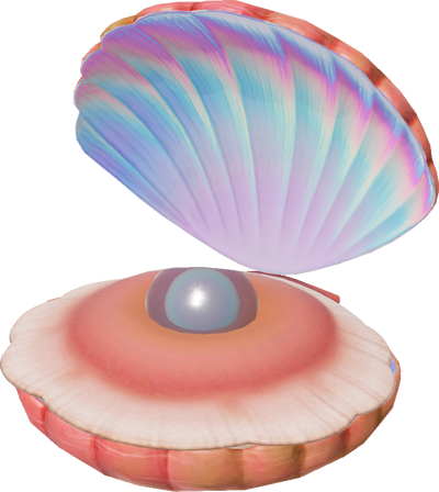 Pearly Clamclamp