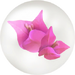 Red bougainvillea nectar in Pikmin Bloom.