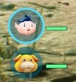 The health of the player character and Oatchi in Pikmin 4.