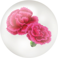 Red carnation nectar icon.png