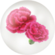 In-game icon for red carnation nectar.