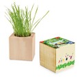 The Grass Seeds and the Display Box.