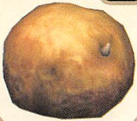 P2 Artwork Child of the Earth.png