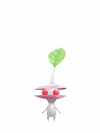 The new animation of a White Pikmin with a Shell from Pikmin Bloom.