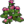 Piklopedia Figwort.png