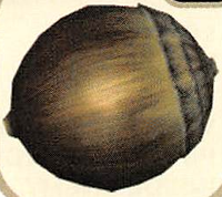 P2 Artwork Corpulent Nut.png