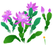 Texture for blue orchid cactus flowers on the map in Pikmin Bloom.