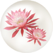 Red orchid cactus nectar from Pikmin Bloom.