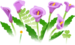 In-game texture for blue calla lily flowers on the map in Pikmin Bloom.