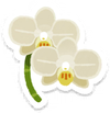 Lifelog artwork of a white moth orchid from Pikmin Bloom.